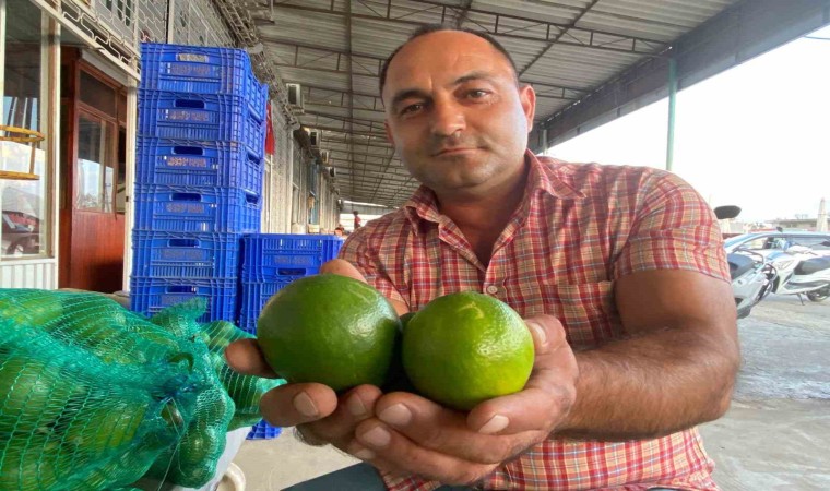 Halde Limon 3 TL’ye Kadar Düştü