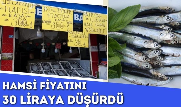 Hamsi Fiyatını 30 Liraya Düşürdü