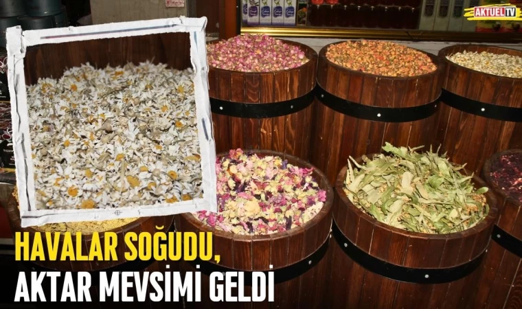 Havalar Soğudu, Aktar Mevsimi Geldi