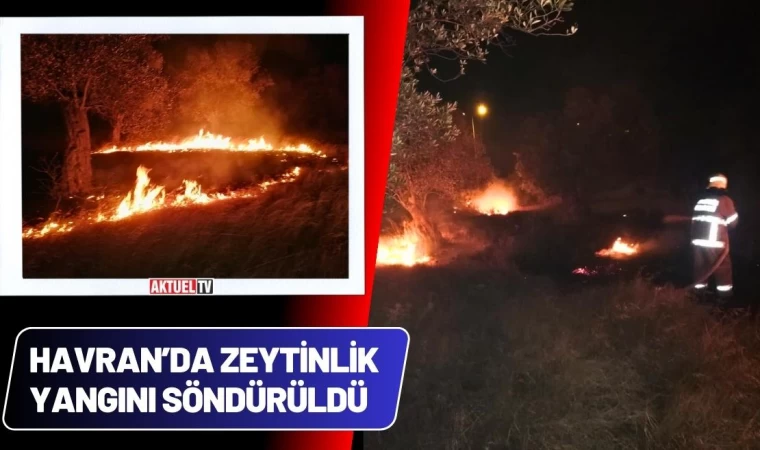 Havran’da Zeytinlik Yangını Söndürüldü