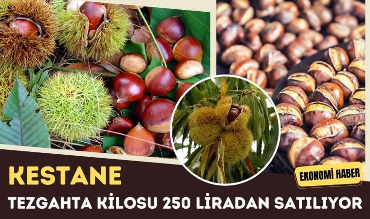 Kestane Tezgahlarda: Kilosu 250 Lira