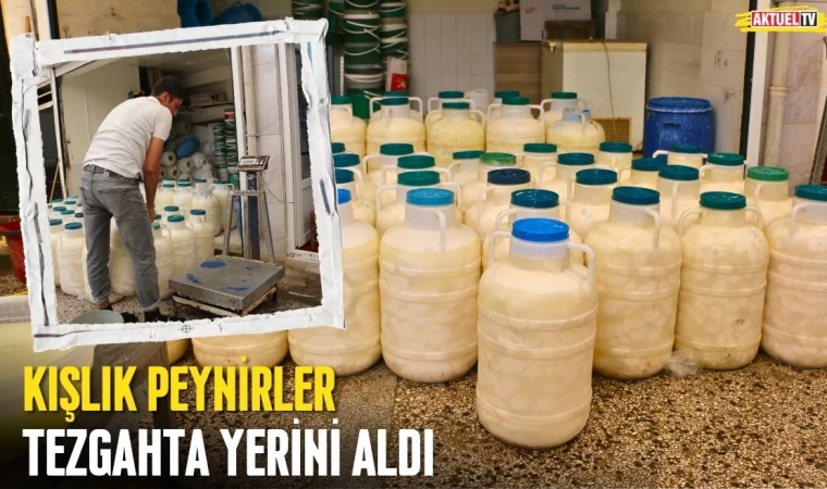 Kışlık Peynirler Tezgahta Yerini Aldı