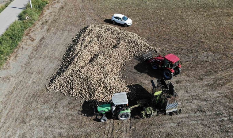 Pancar Dönümde 9 Ton Verim Verdi