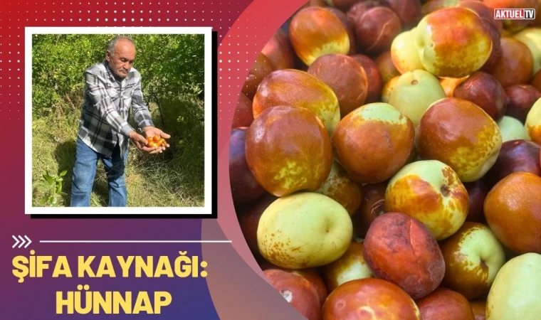 Şifa Kaynağı: Hünnap