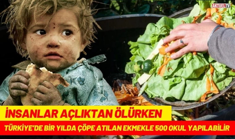 Türkiye’de Bir Yılda Çöpe Atılan Ekmekle 500 Okul Yapılabilir