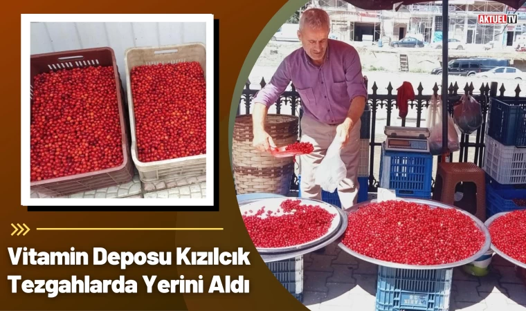 Vitamin Deposu Kızılcık Tezgahlarda Yerini Aldı