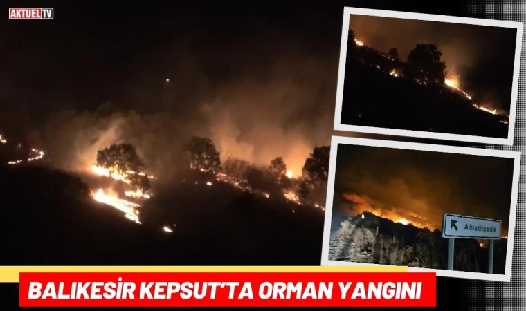 Balıkesir Kepsut’ta Orman Yangını