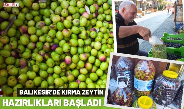 Balıkesir’de Kırma Zeytin Hazırlıkları Başladı