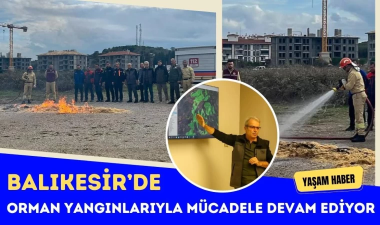 Balıkesir’de Orman Yangınlarıyla Mücadele Devam Ediyor