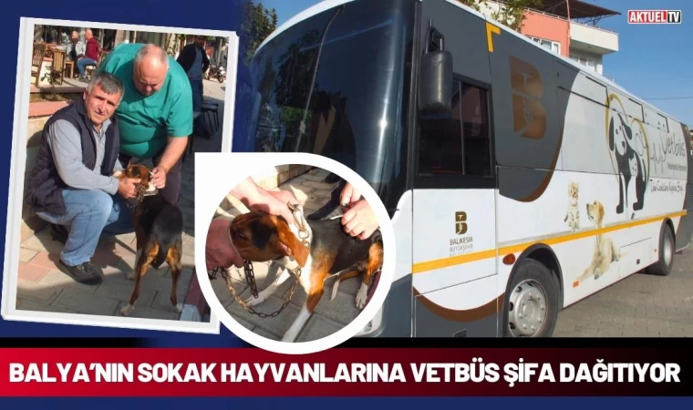 Balya’nın Sokak Hayvanlarına VETBÜS Şifa Dağıtıyor