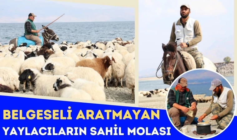 Belgeselleri Aratmayan Yaylacıların Sahil Kenarındaki Molası