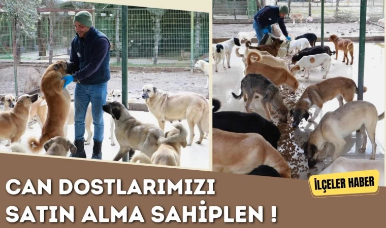 Can Dostlarımızı Satın Alma Sahiplen