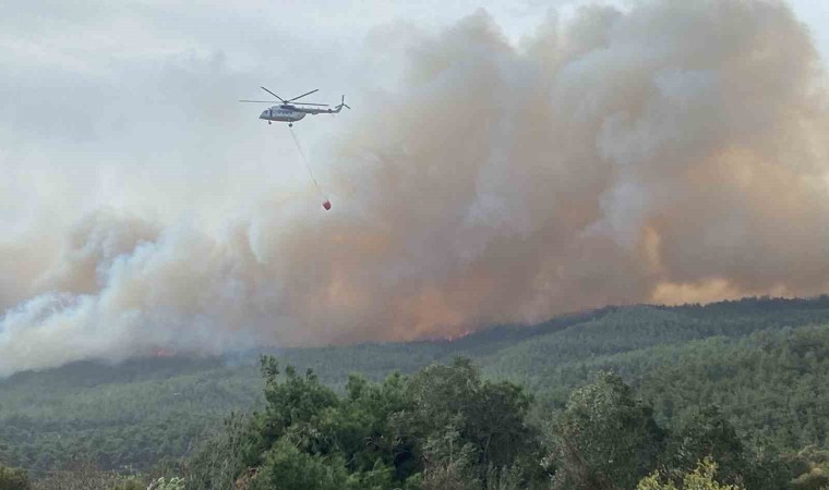 Çanakkale’de Orman Yangını