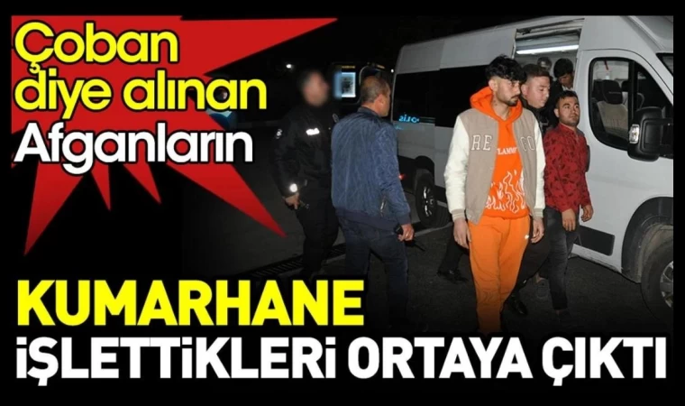 Çoban diye alınan Afganların kumarhane işlettikleri ortaya çıktı