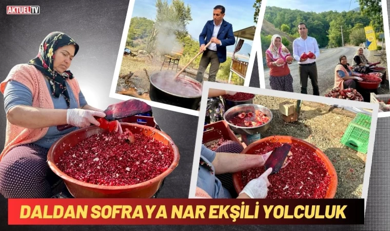 Daldan Sofraya Nar Ekşili Yolculuk