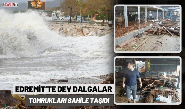 Dev Dalgalar Tomrukları Sahile Taşıdı