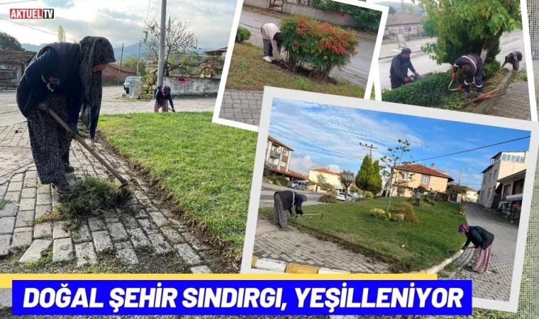 Doğal Şehir Sındırgı Yeşilleniyor