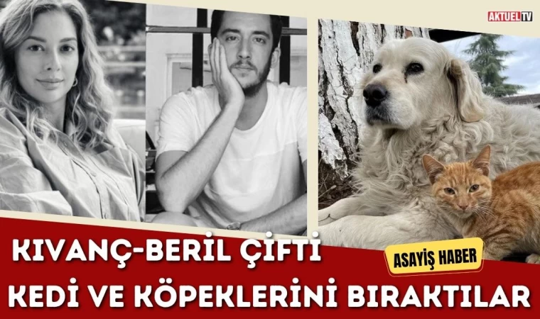 Dolandırdılar, Kedi ve Köpeklerini Arkada Bıraktılar