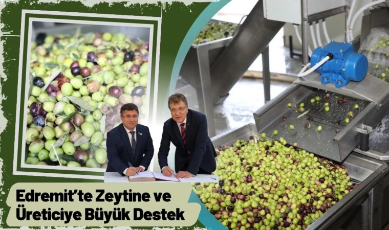 Edremit’te Zeytine Büyük Destek