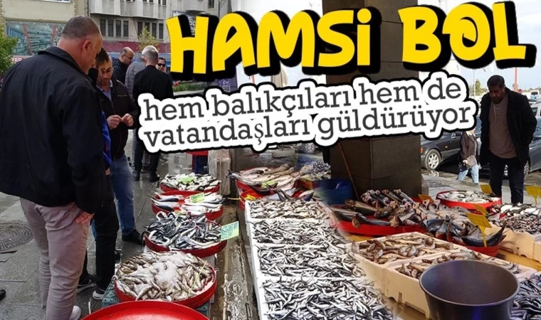 Hamsi Bolluğu Sürüyor