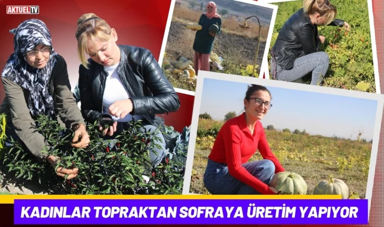 Kadınlar Topraktan Sofraya Üretim Yapıyor