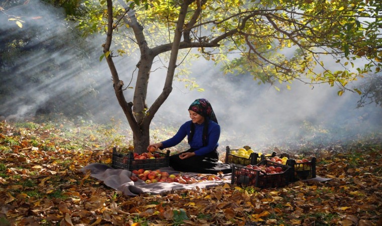 ‘Kadrajımdan Edremit Fotoğraf Yarışması’ Tamamlandı