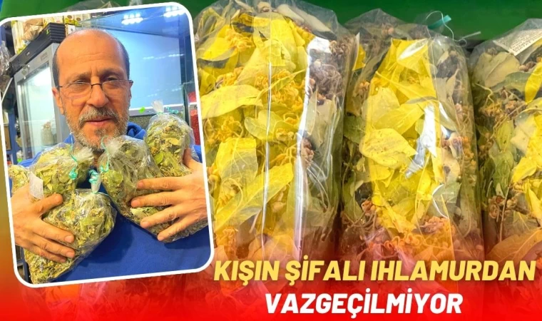 Kışın Şifalı Ihlamurdan Vazgeçilmiyor