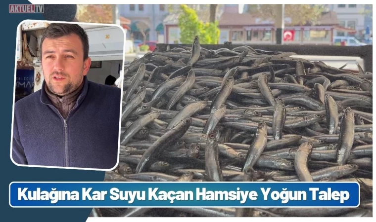 Kulağına Kar Suyu Kaçan Hamsiye Yoğun Talep