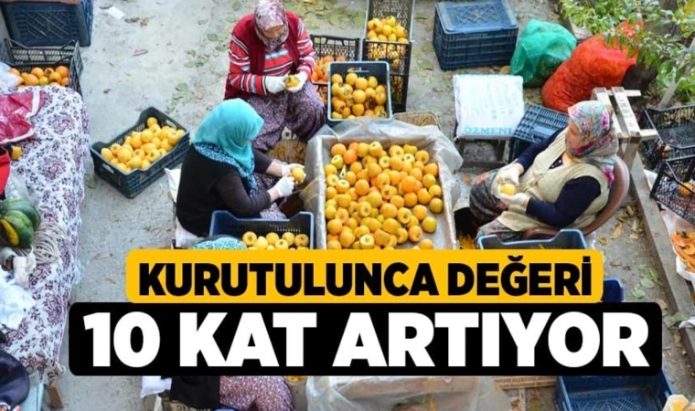 Kurutulunca Değeri 10 Kat Artıyor