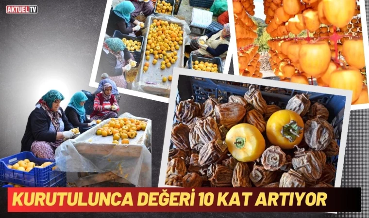 Kurutulunca Değeri 10 Kat Artıyor