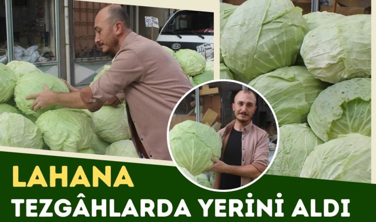 Lahana Tezgâhlarda Yerini Aldı