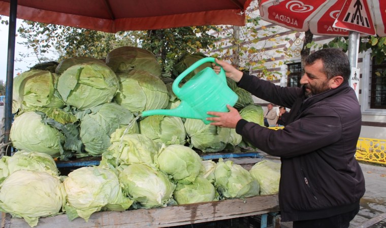 Organik Lahanalar Tezgahta Yerini Aldı