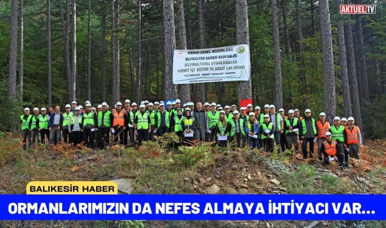 Ormanlarımızın da Nefes Almaya İhtiyacı Var…