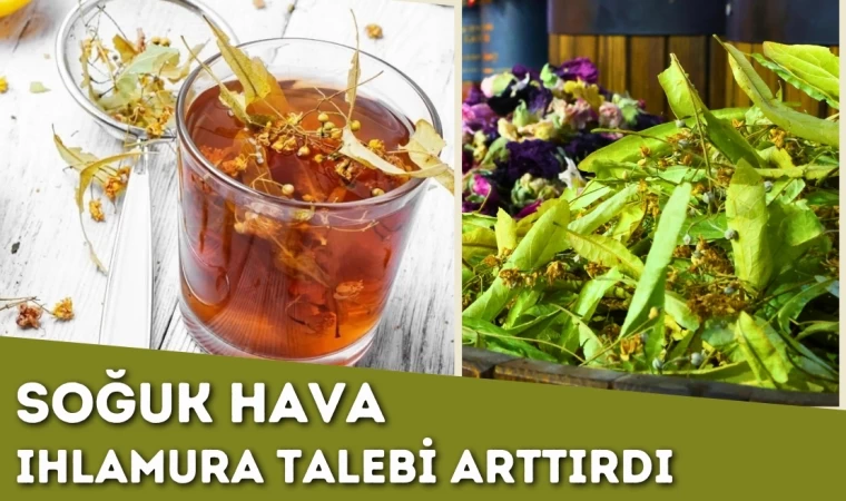 Soğuk Hava Ihlamura Talebi Arttırdı