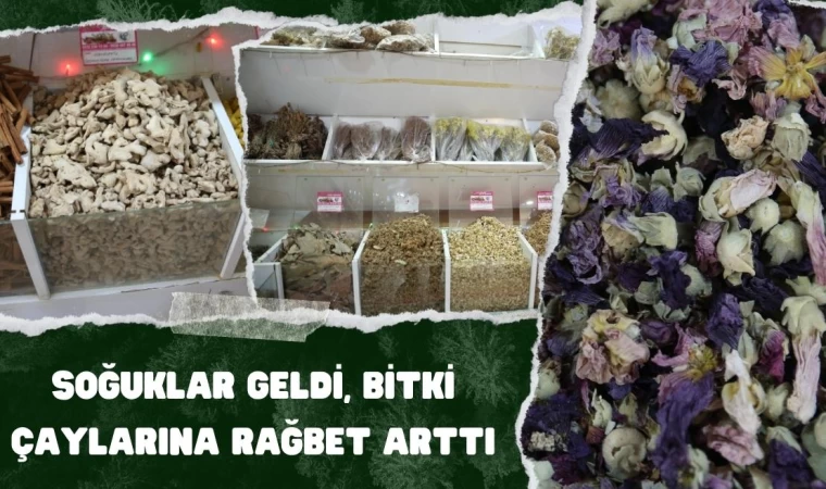 Soğuklar Geldi, Bitki Çaylarına Rağbet Arttı