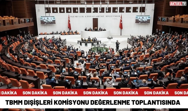 TBMM Dışişleri Komisyonu Değerlenme Toplantısında