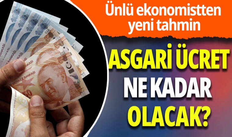 Ünlü Ekonomistten Yeni Tahmin: Asgari Ücret Ne Kadar Olacak?