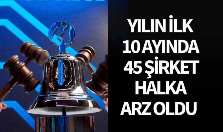 Yılın 10 Ayında 45 Şirket Halka Arz Oldu