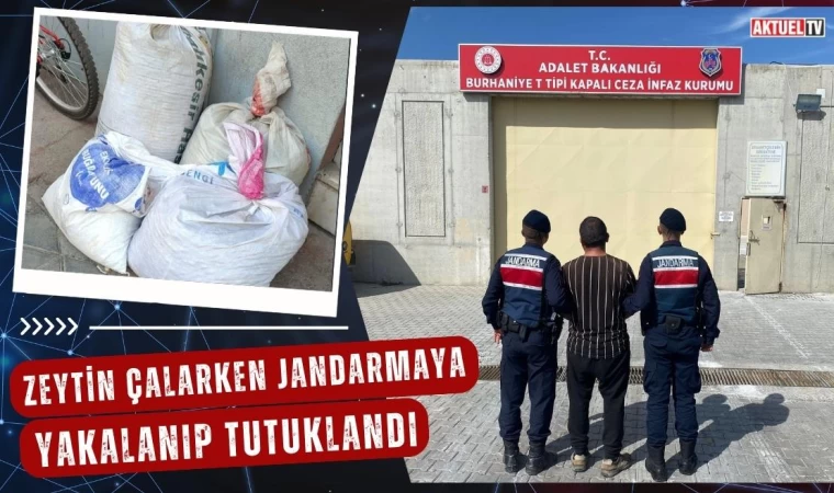 Zeytin Çalarken Jandarmaya Yakalanıp Tutuklandı