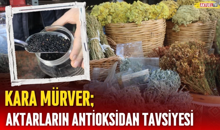 Aktarların Antioksidan Tavsiyesi: Kara Mürver