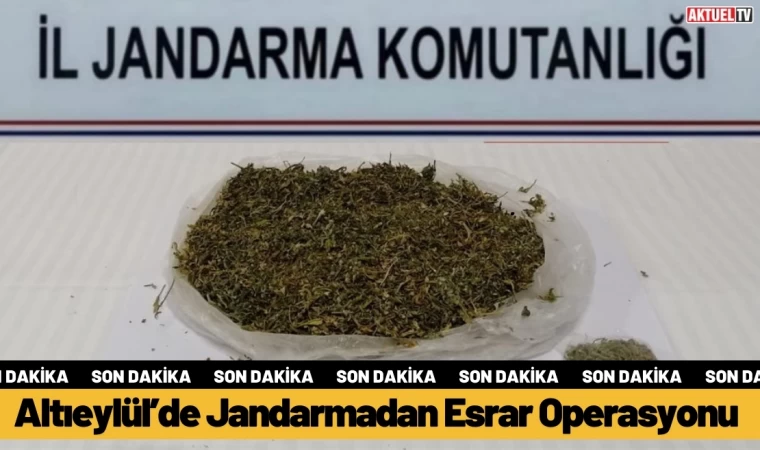 Altıeylül’de Jandarmadan Esrar Operasyonu