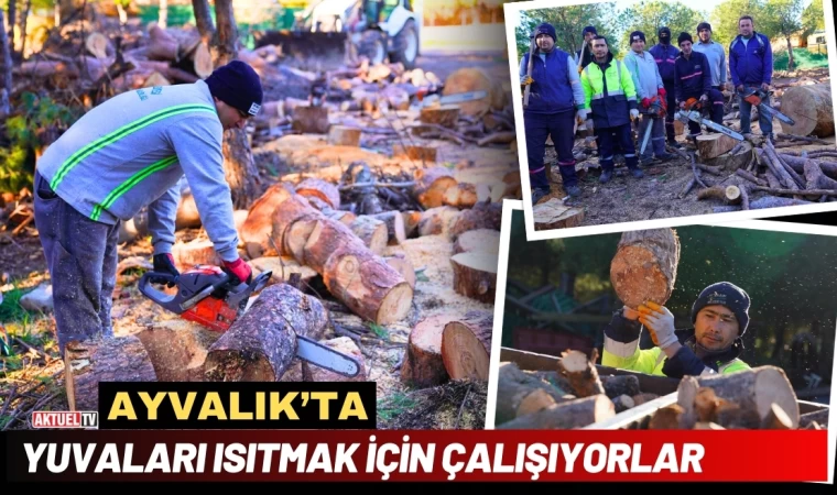 Ayvalık’ta Yuvaları Isıtmak İçin Çalışıyorlar