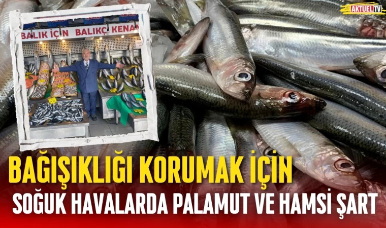 Bağışıklığı Korumak İçin Palamut ve Hamsi Şart