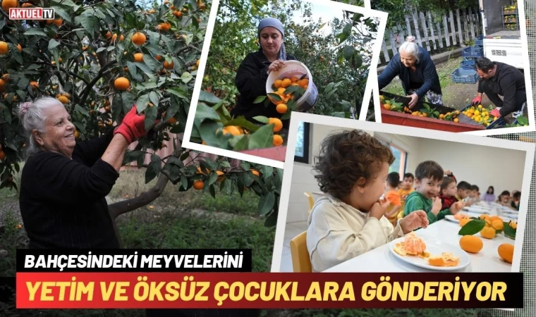 Bahçesindeki Meyvelerini Yetim ve Öksüz Çocuklara Gönderiyor