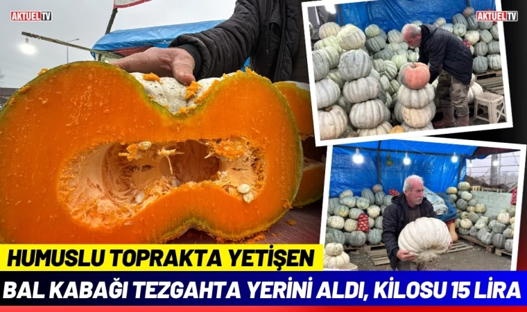 Bal Kabağı Tezgahta Yerini Aldı, Kilosu 15 Lira