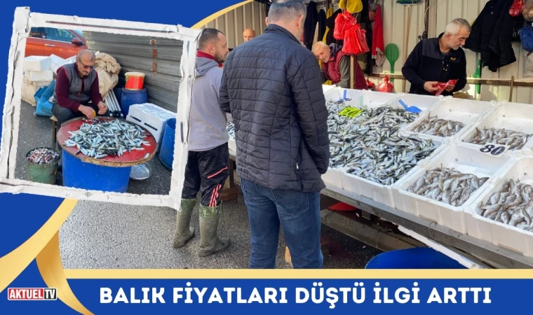 Balık Fiyatları Düştü İlgi Arttı