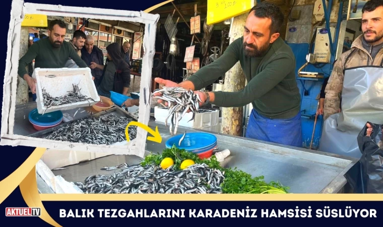 Balık Tezgahlarını Karadeniz Hamsisi Süslüyor