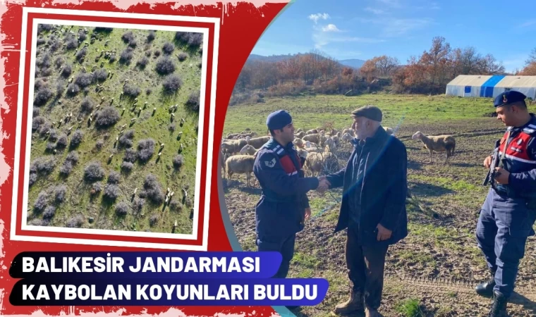 Balıkesir Jandarması Kaybolan Koyunları Buldu