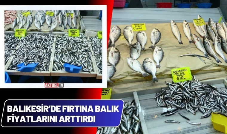 Balıkesir’de Fırtına Balık Fiyatlarını Arttırdı