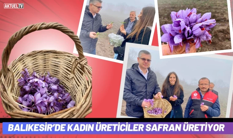 Balıkesir’de Kadın Üreticiler Safran Üretiyor